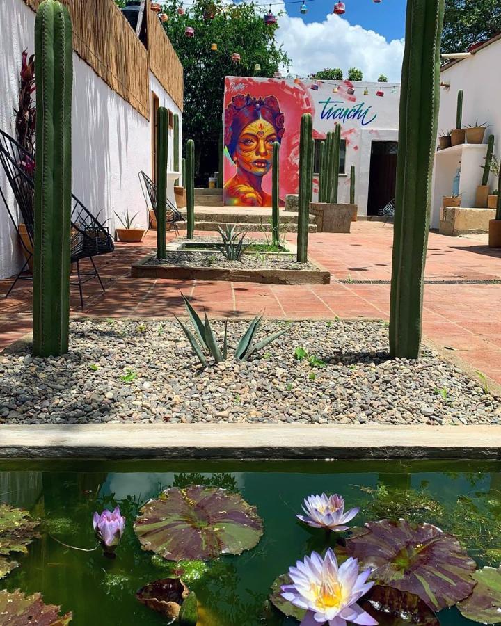 Ticuchi Hostal Oaxaca Экстерьер фото